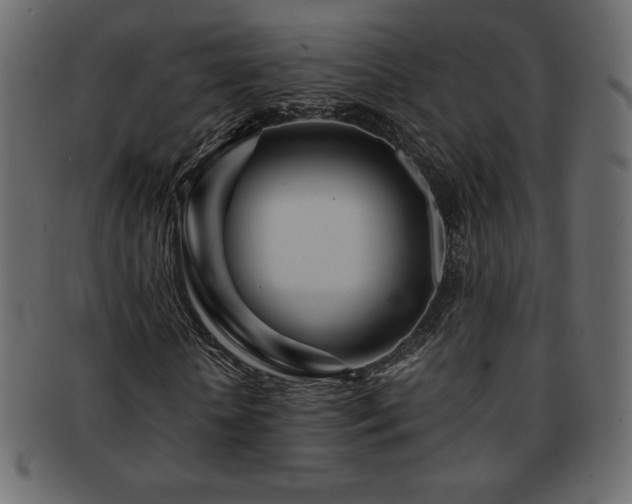 X0000093160818200709261507
