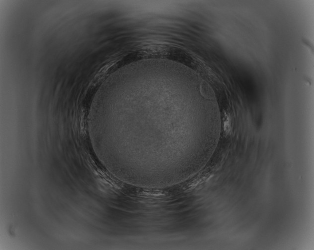 X0000093160819200709261507