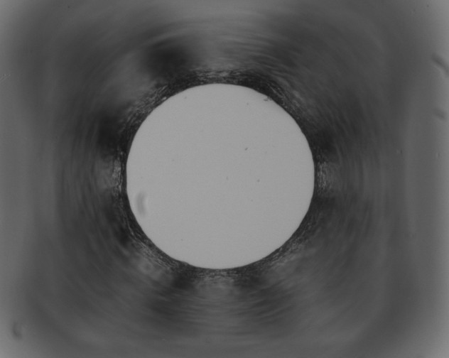 X0000093160820200709261507