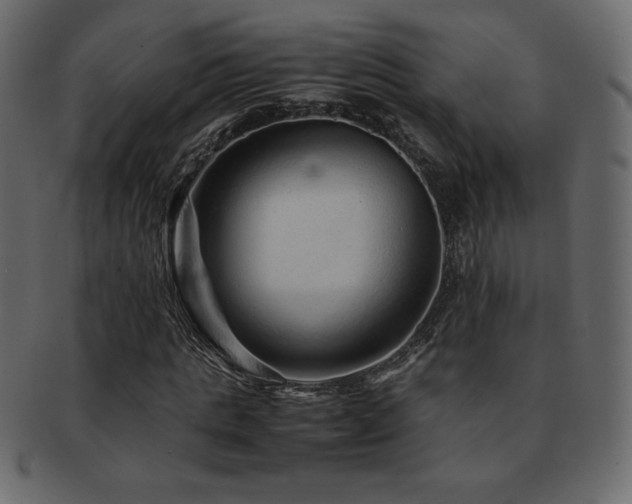 X0000093160821200709261507