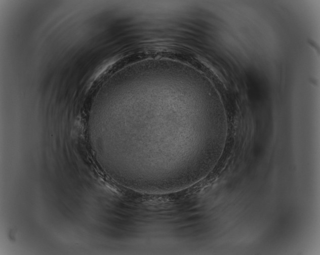 X0000093160823200709261507