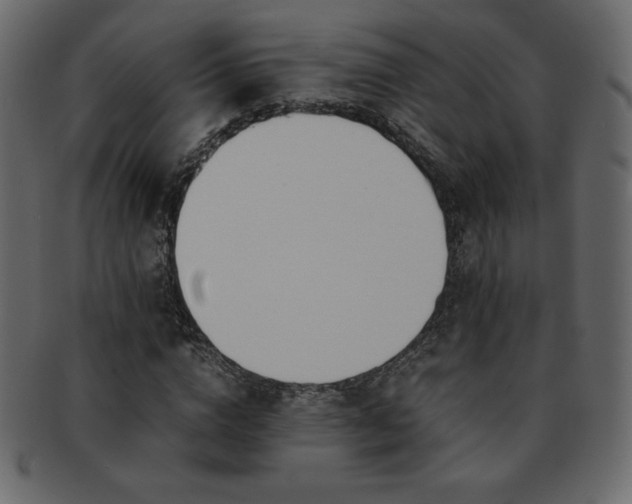 X0000093160824200709261507