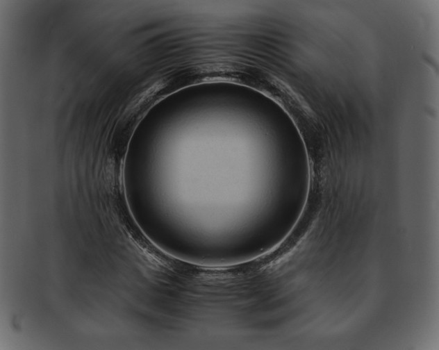 X0000093160825200709261507