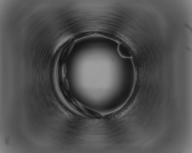 X0000093160826200709261507