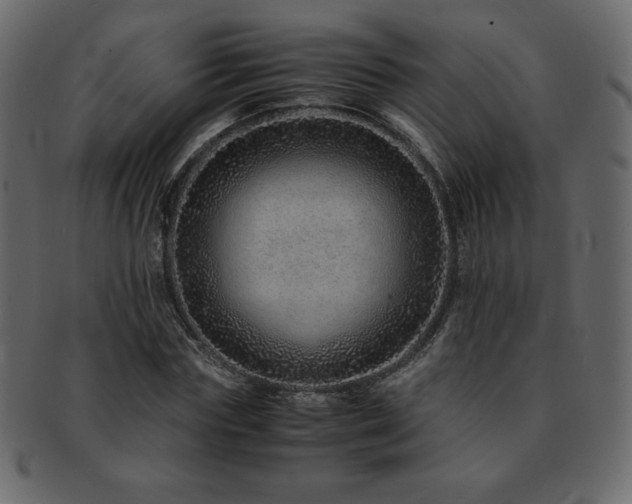 X0000093160827200709261507