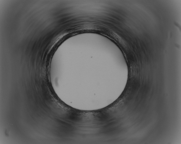 X0000093160828200709261507