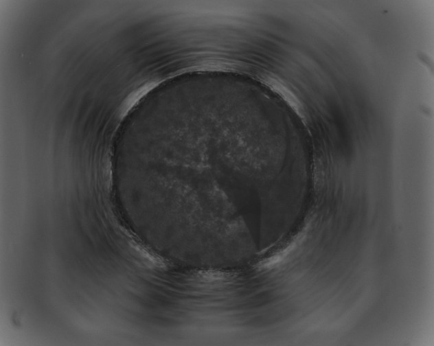 X0000093160829200709261507