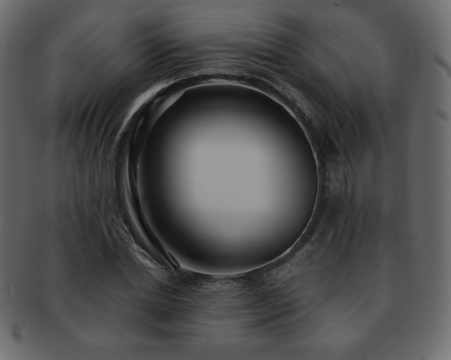 X0000093160830200709261507