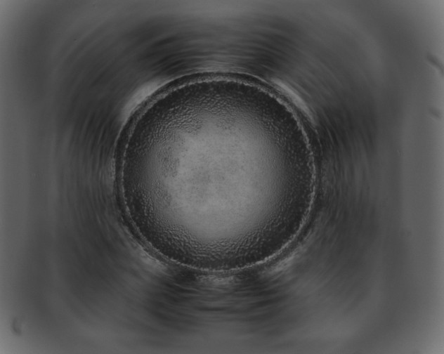 X0000093160831200709261507