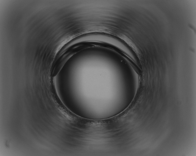 X0000093160834200709261507
