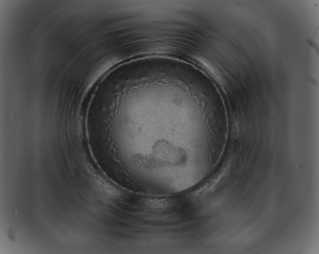 X0000093160835200709261507