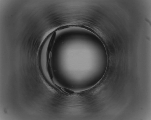 X0000093160838200709261507