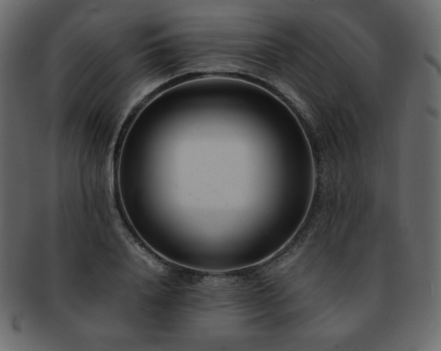 X0000093160840200709261507