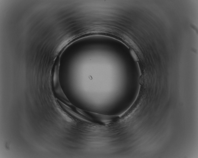 X0000093160842200709261507