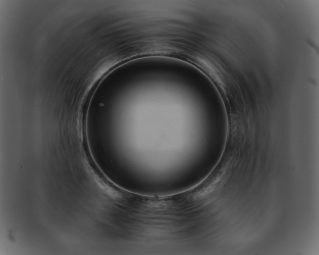 X0000093160843200709261507
