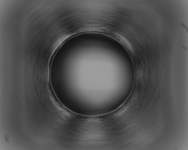 X0000093160844200709261507