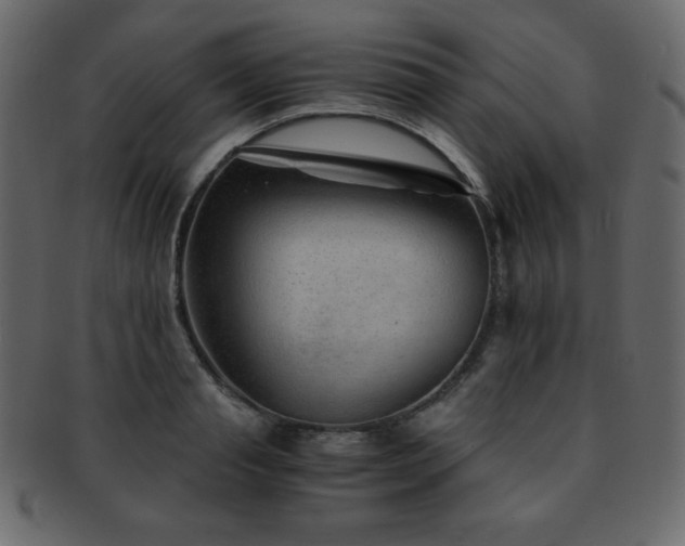 X0000093160845200709261507