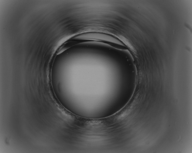 X0000093160846200709261507