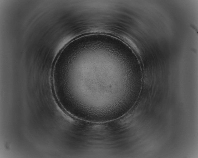 X0000093160847200709261507