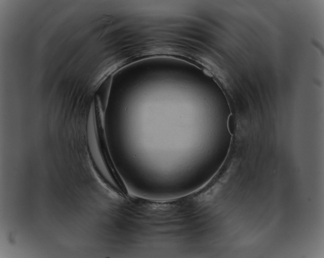 X0000093160849200709261507