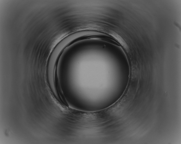 X0000093160850200709261507