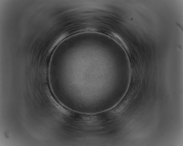 X0000093160851200709261507