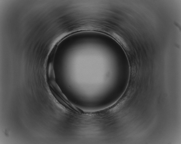 X0000093160854200709261507