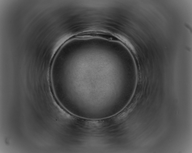 X0000093160855200709261507