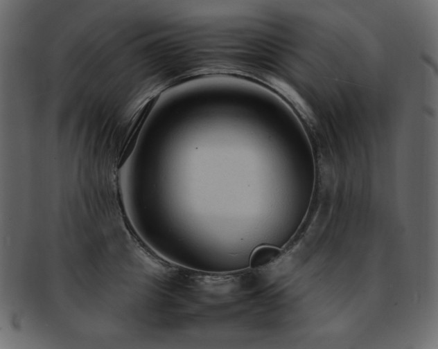 X0000093160857200709261507