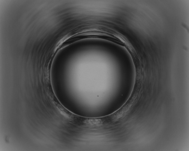 X0000093160858200709261507