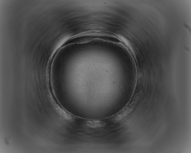 X0000093160859200709261507