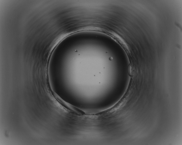 X0000093160860200709261507
