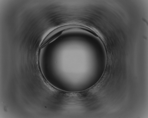 X0000093160862200709261508