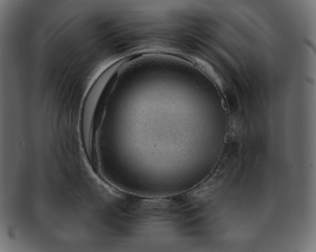 X0000093160863200709261508