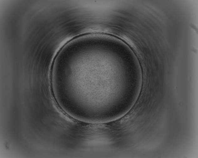X0000093160864200709261508