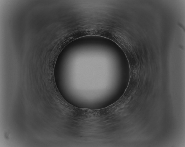 X0000093160865200709261507