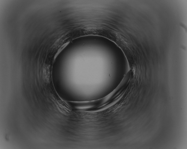 X0000093160868200709261507