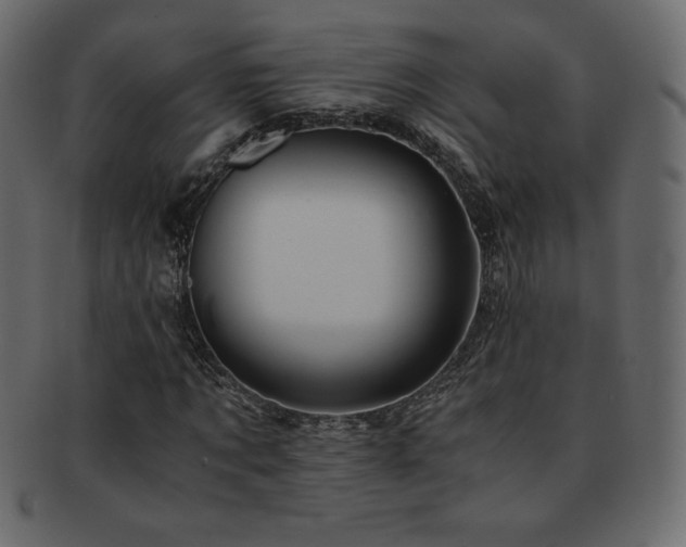 X0000093160869200709261507