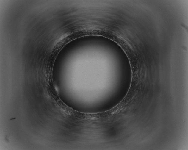 X0000093160870200709261507