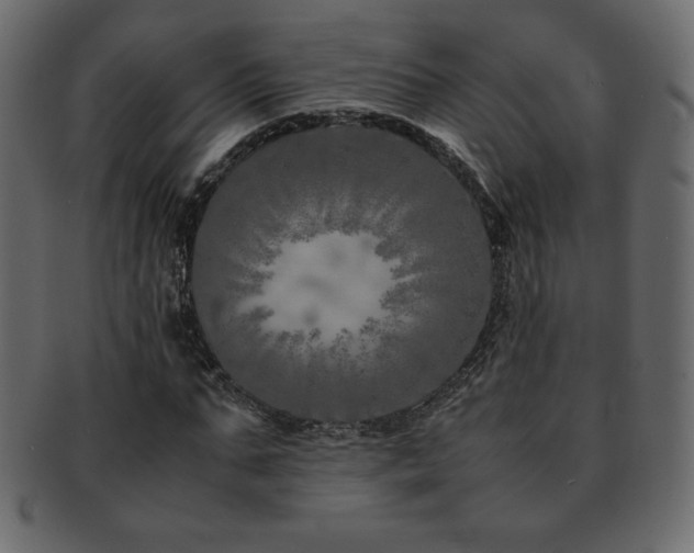 X0000093160871200709261507