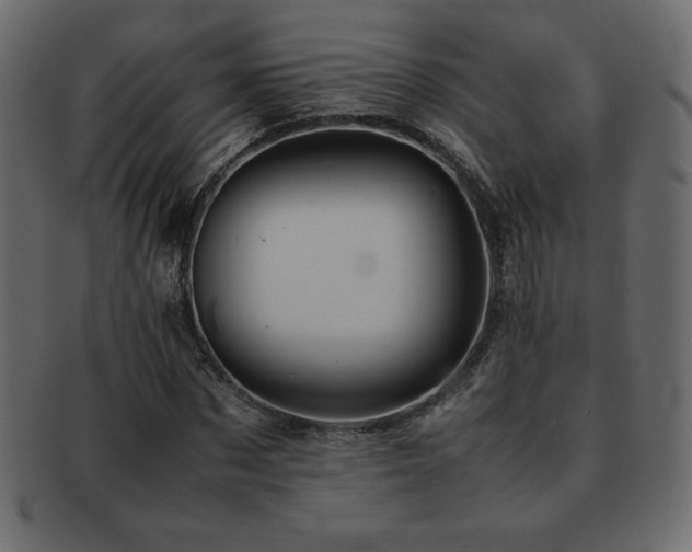 X0000093160873200709261507