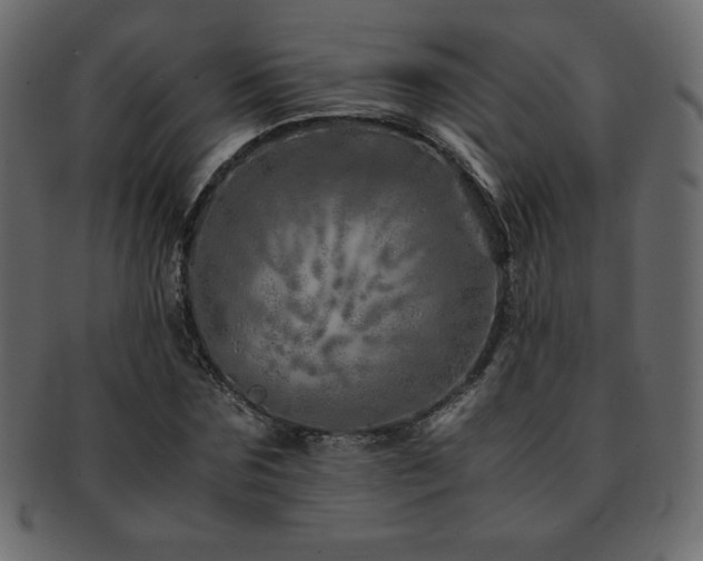 X0000093160875200709261507