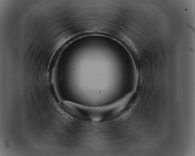 X0000093160876200709261507