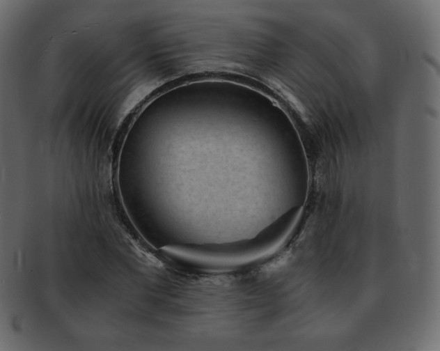 X0000093160877200709261507