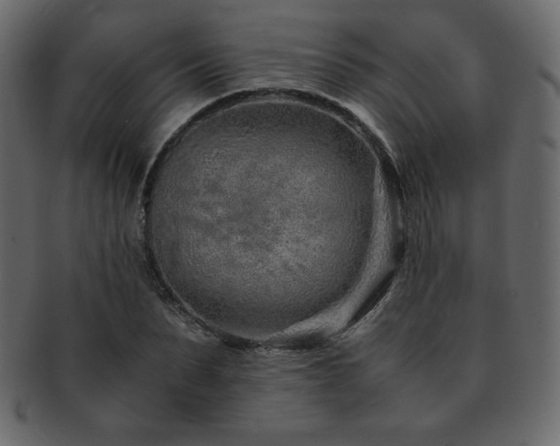 X0000093160879200709261507