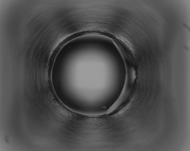 X0000093160880200709261507
