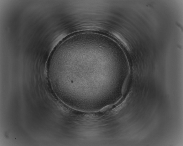 X0000093160883200709261507