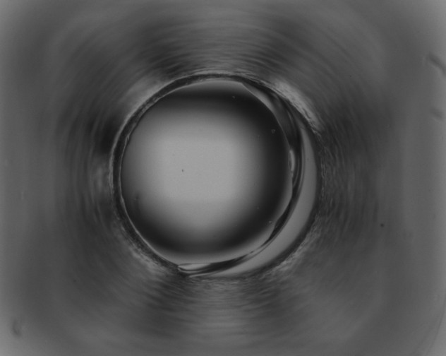X0000093160884200709261507