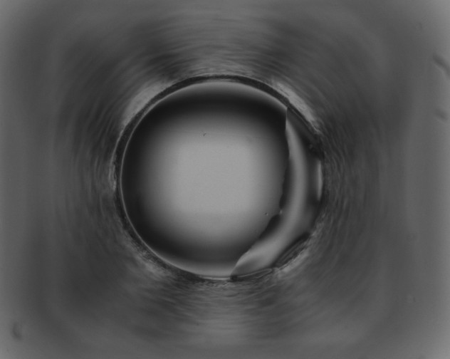 X0000093160885200709261507