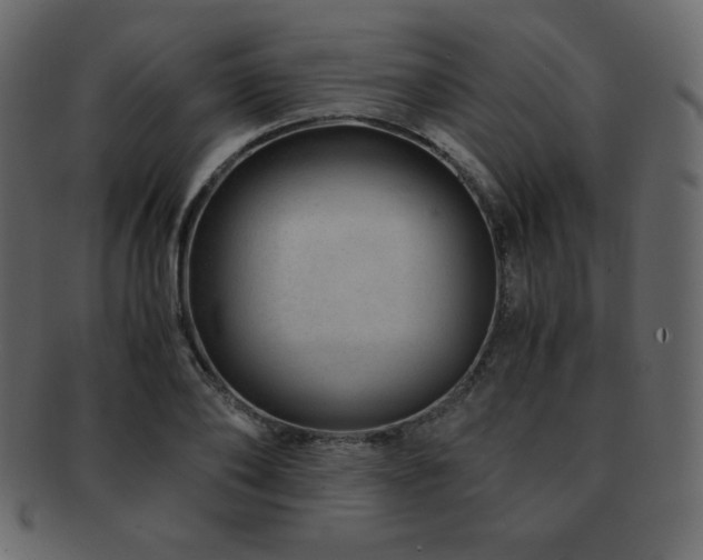 X0000093160886200709261507
